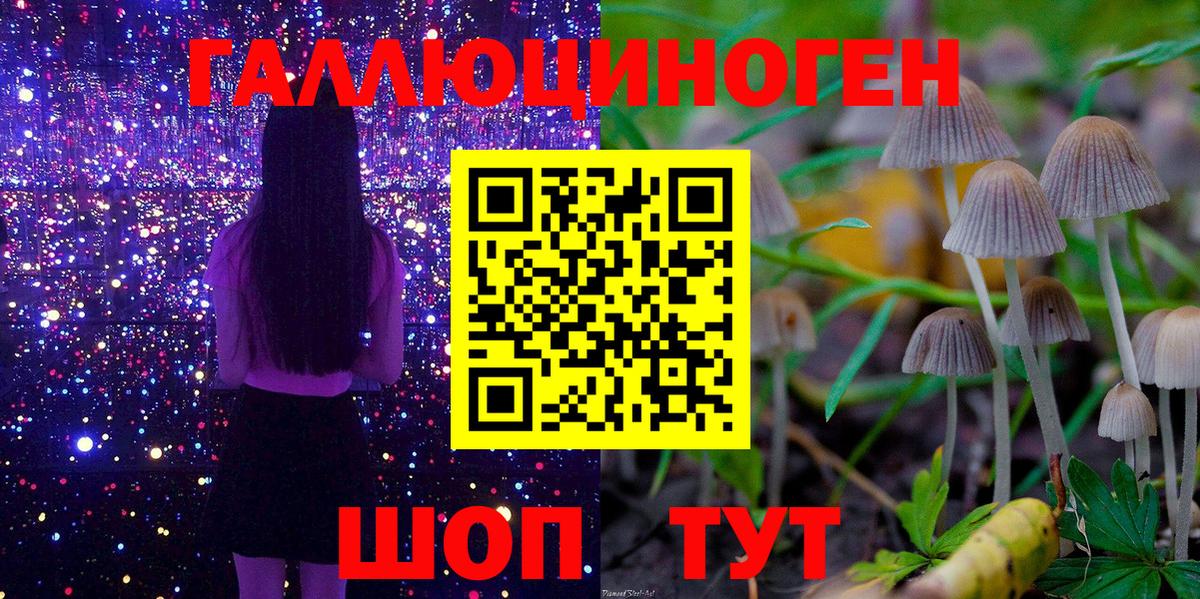 Кимовск  Галлюциногенные грибы мухоморы  Вход с VPN 
