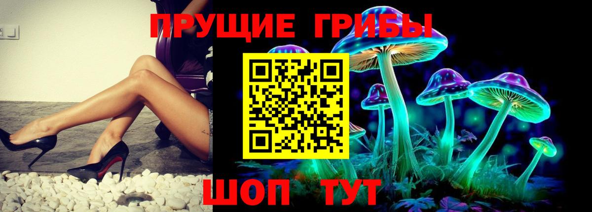Галлюциногенные грибы MAGIC MUSHROOMS Кимовск